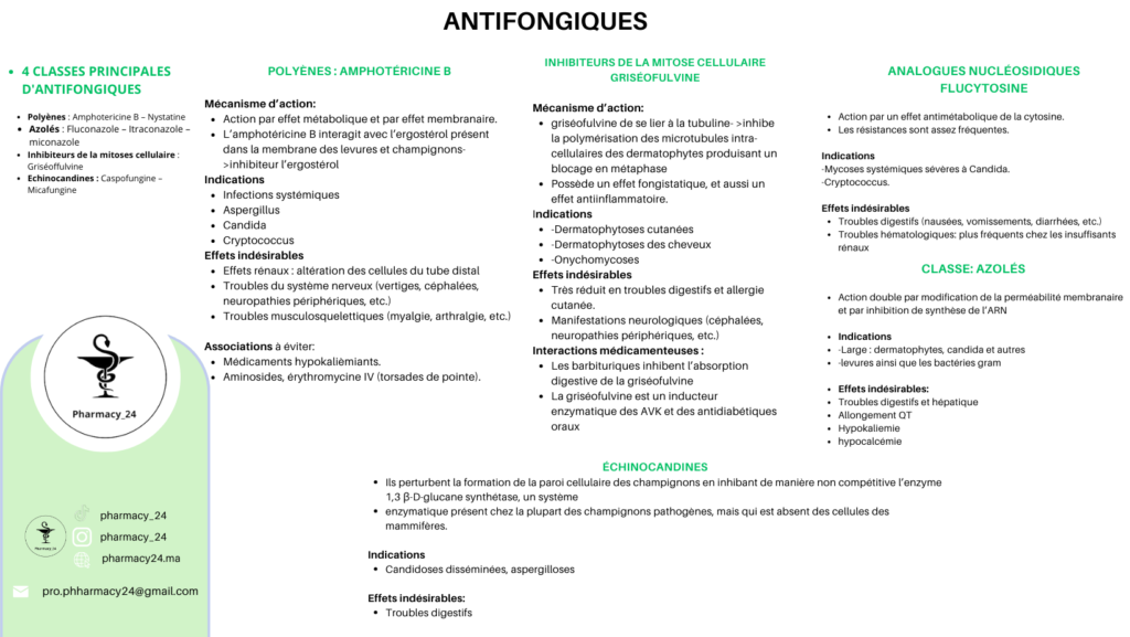 ANTIFONGIQUES