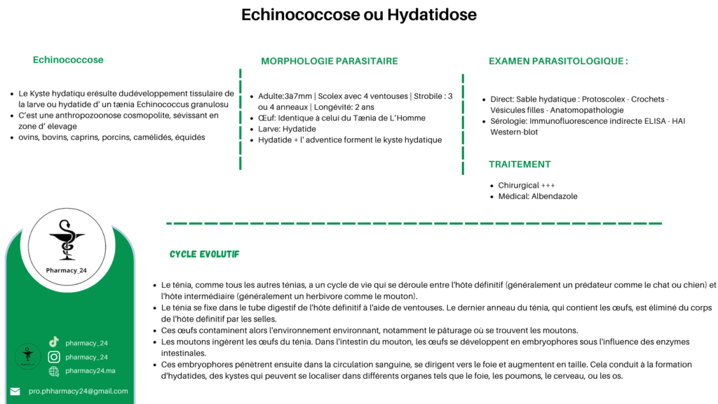 Echinococcose ou Hydatidose (1)