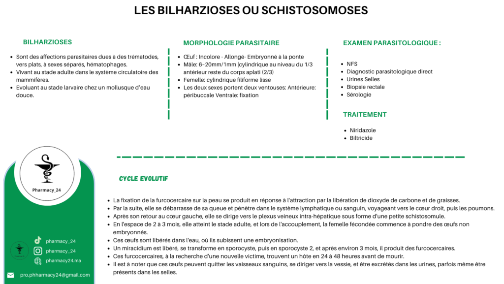 LES BILHARZIOSES OU SCHISTOSOMOSES _