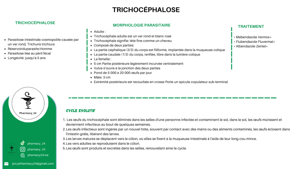 TRICHOCÉPHALOSE