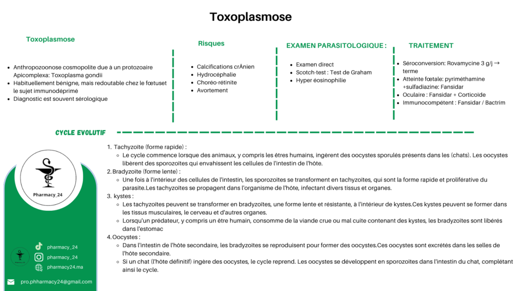 Toxoplasmose